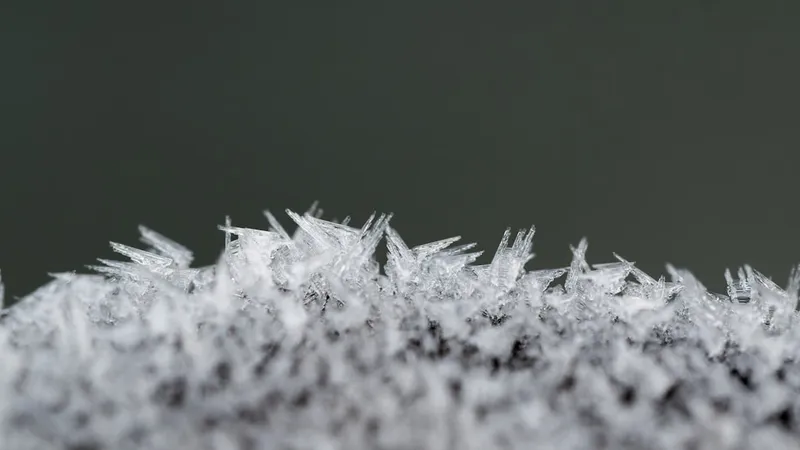 A close up view of a frosty surface